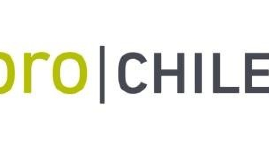 Logo Prochile