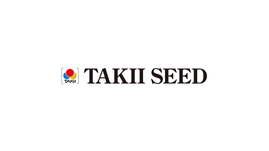 TAKIISEED