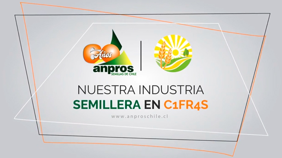 ANPROS-Nuestra-industria-Semillera-en-C1fr4s