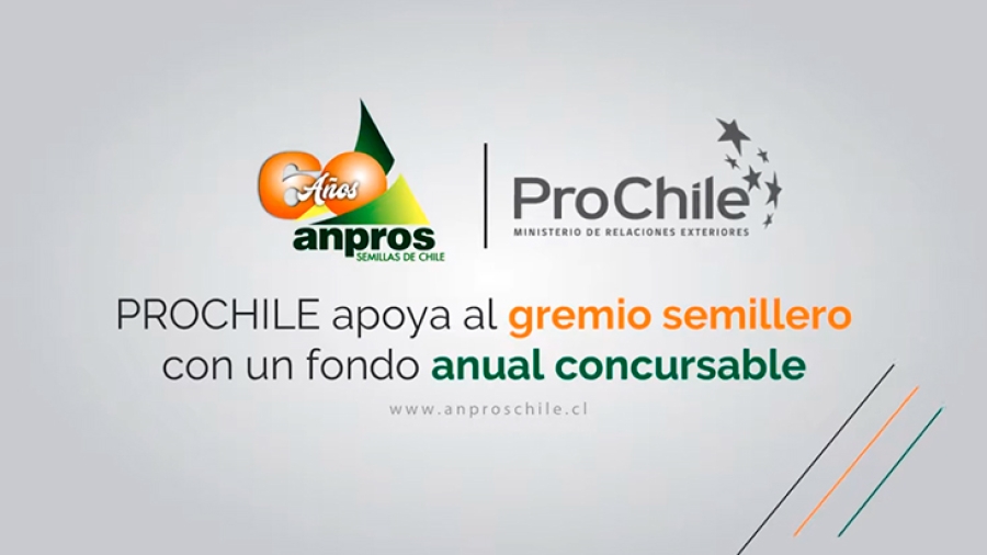 ANPROS-PROCHILE.-PROCHILE-apoya-al-gremio-semillero-con-un-fondo-anual-concursable