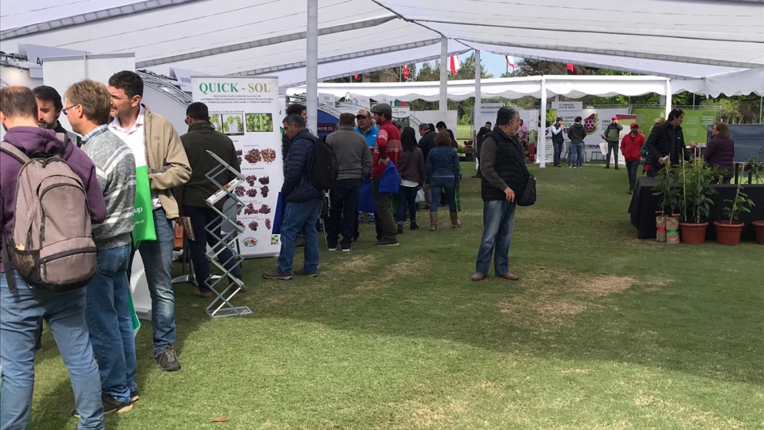 Agroplanttrade 2019 foto 3 (002)