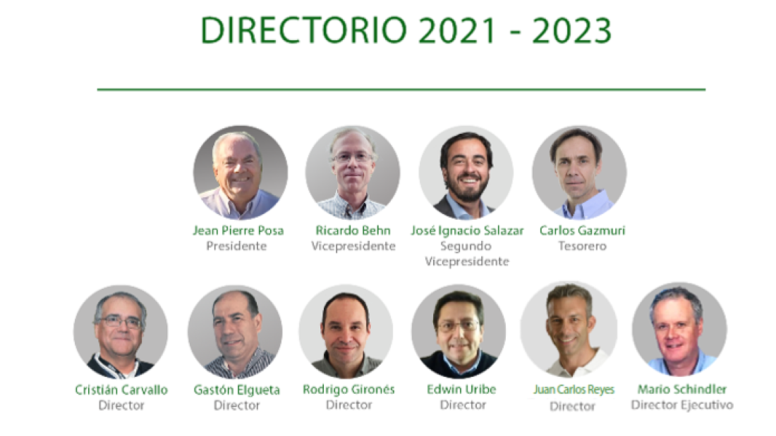 Directorio-Anpros-2021-2023-2 - BAJA