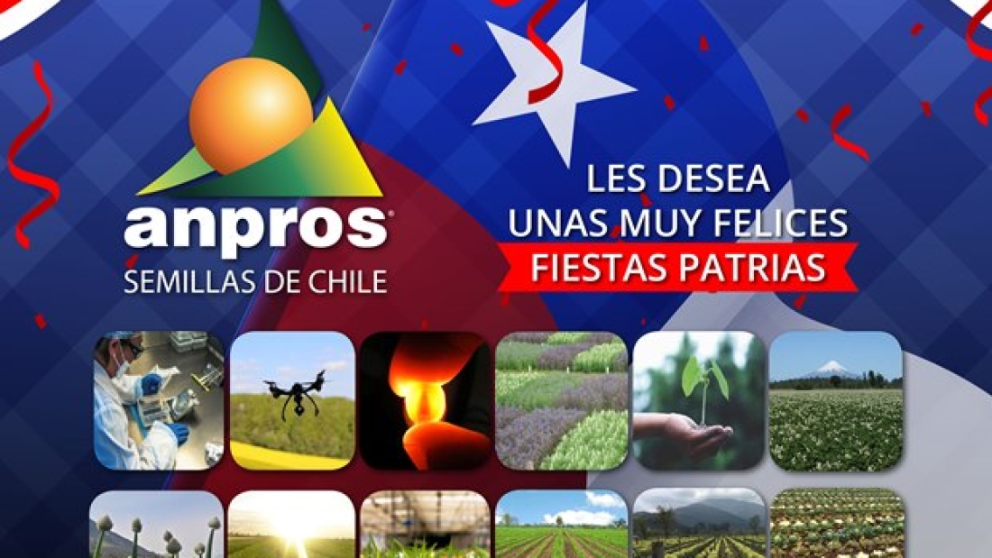 Aviso-Fiestas-Patrias-2022