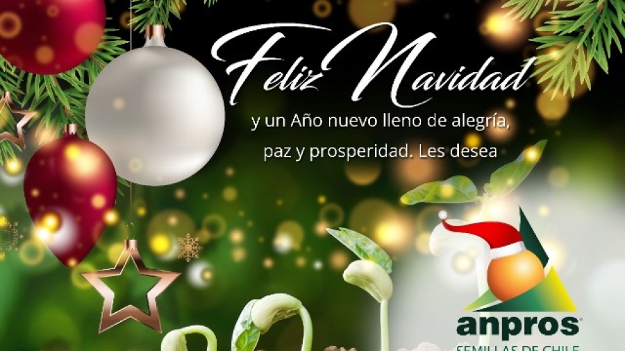 Navidad esp