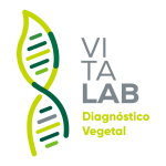 VITALAB