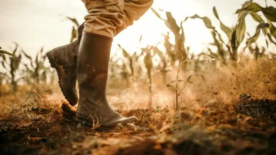 Farmers-boots-getty-768x512