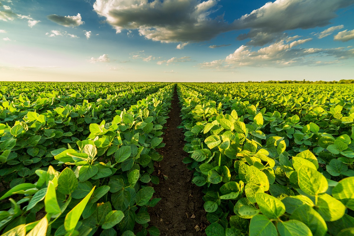 Un estudio muestra que la tecnología agrícola está ayudando a reducir las emisiones