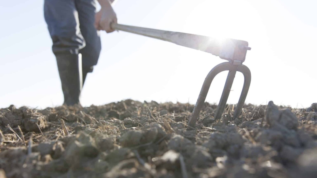 farmer hoeing