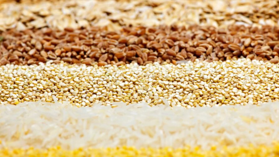 ¿Cuáles son los tratamientos que afectan los atributos de calidad de la semilla?