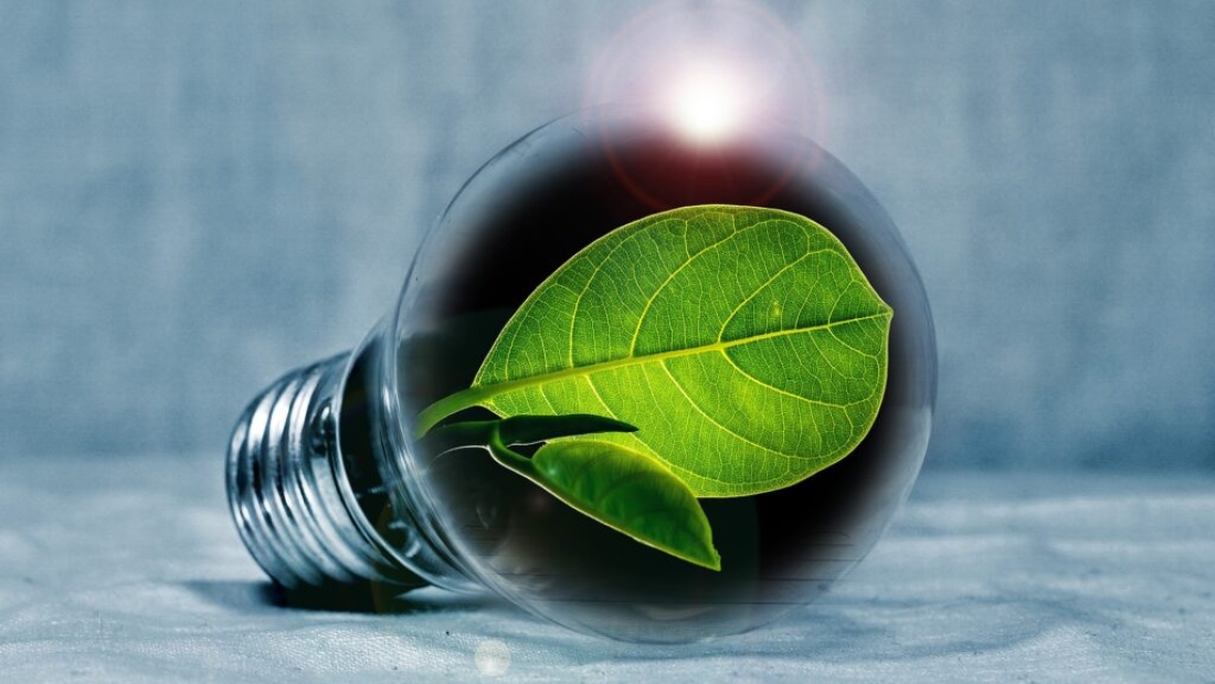 Sustainability-Innovation-Pixabay-1024x637-1 (1)