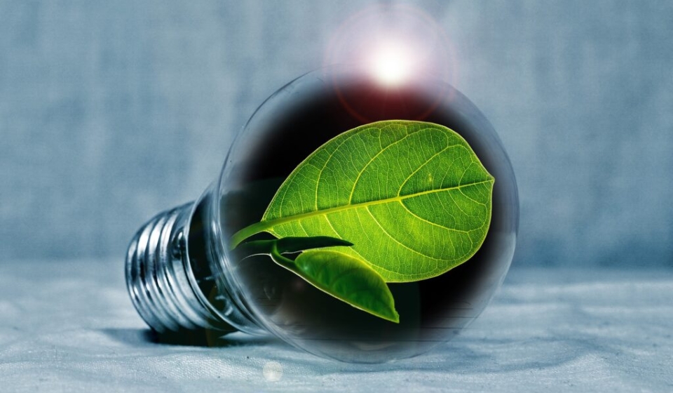 Sustainability-Innovation-Pixabay-1024x637-1 (1)