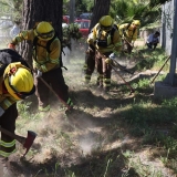 boton-rojo-incendios-conaf-1 (1)