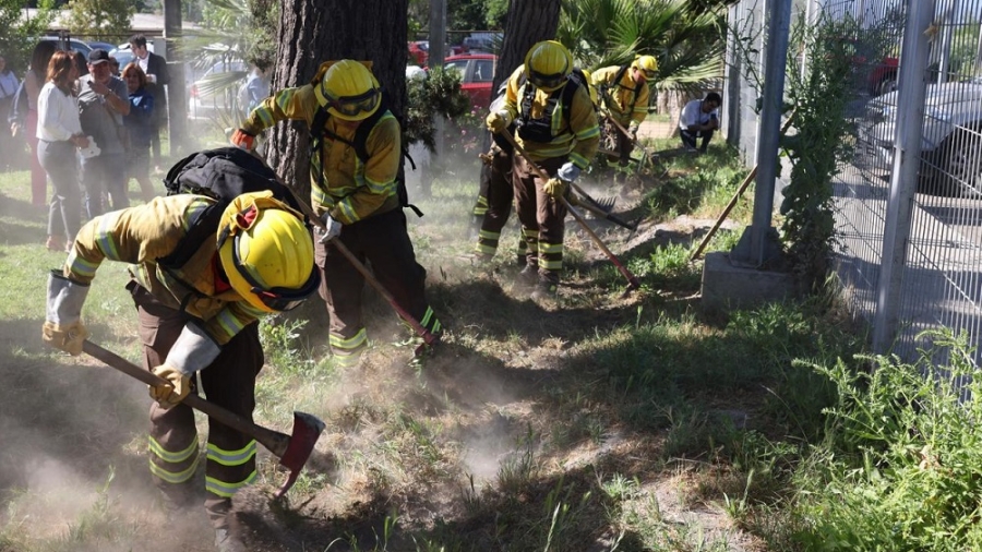 boton-rojo-incendios-conaf-1 (1)