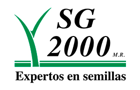 SG 2000