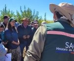 Productores y productoras de papa conocen resultados de ensayo de variedades de papa en Estación de Pruebas del SAG